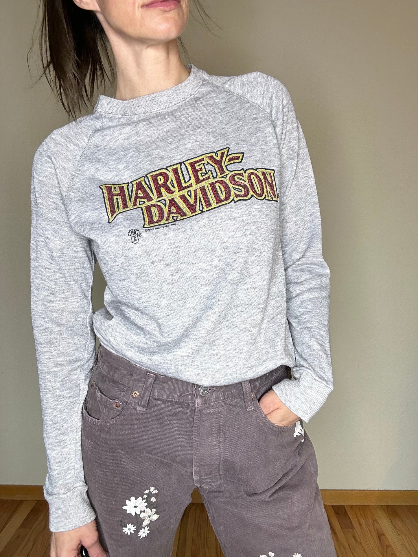 80’s Harley Davidson Threadbare Raglan Sweatshirt (S/M)