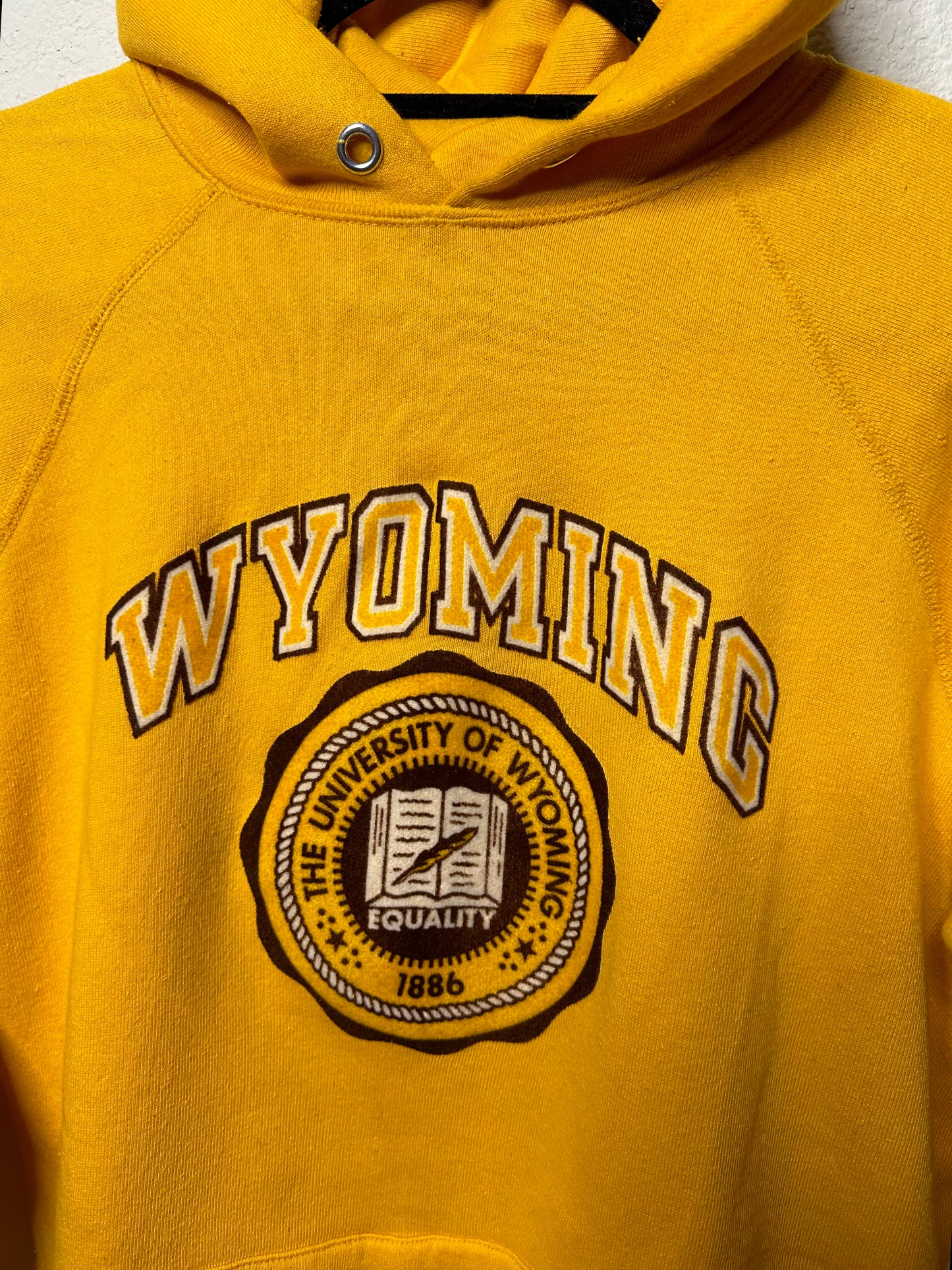 80’s Champion University of Wyoming Raglan Hoodie (Unisex L)