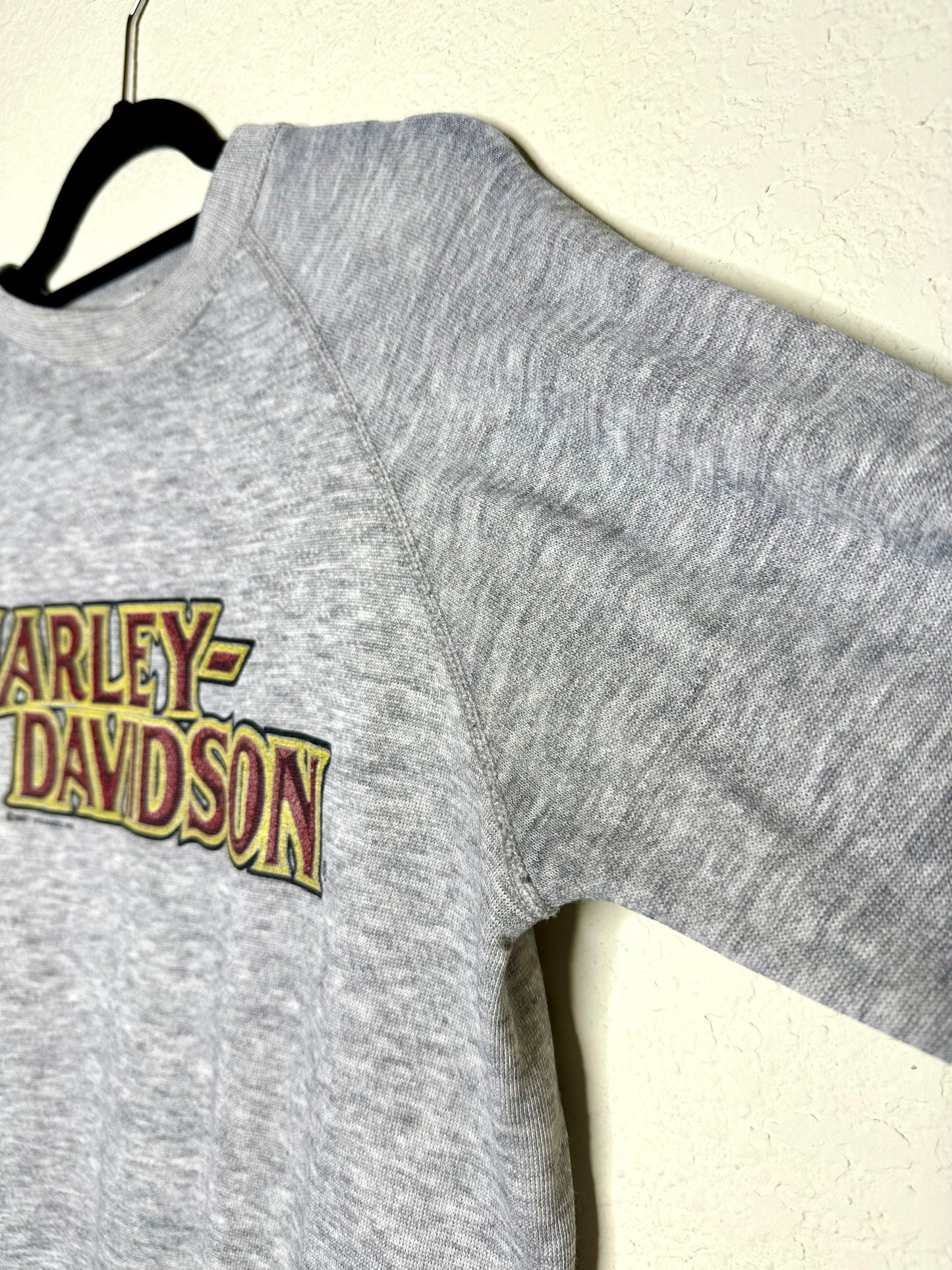 80’s Harley Davidson Threadbare Raglan Sweatshirt (S/M)