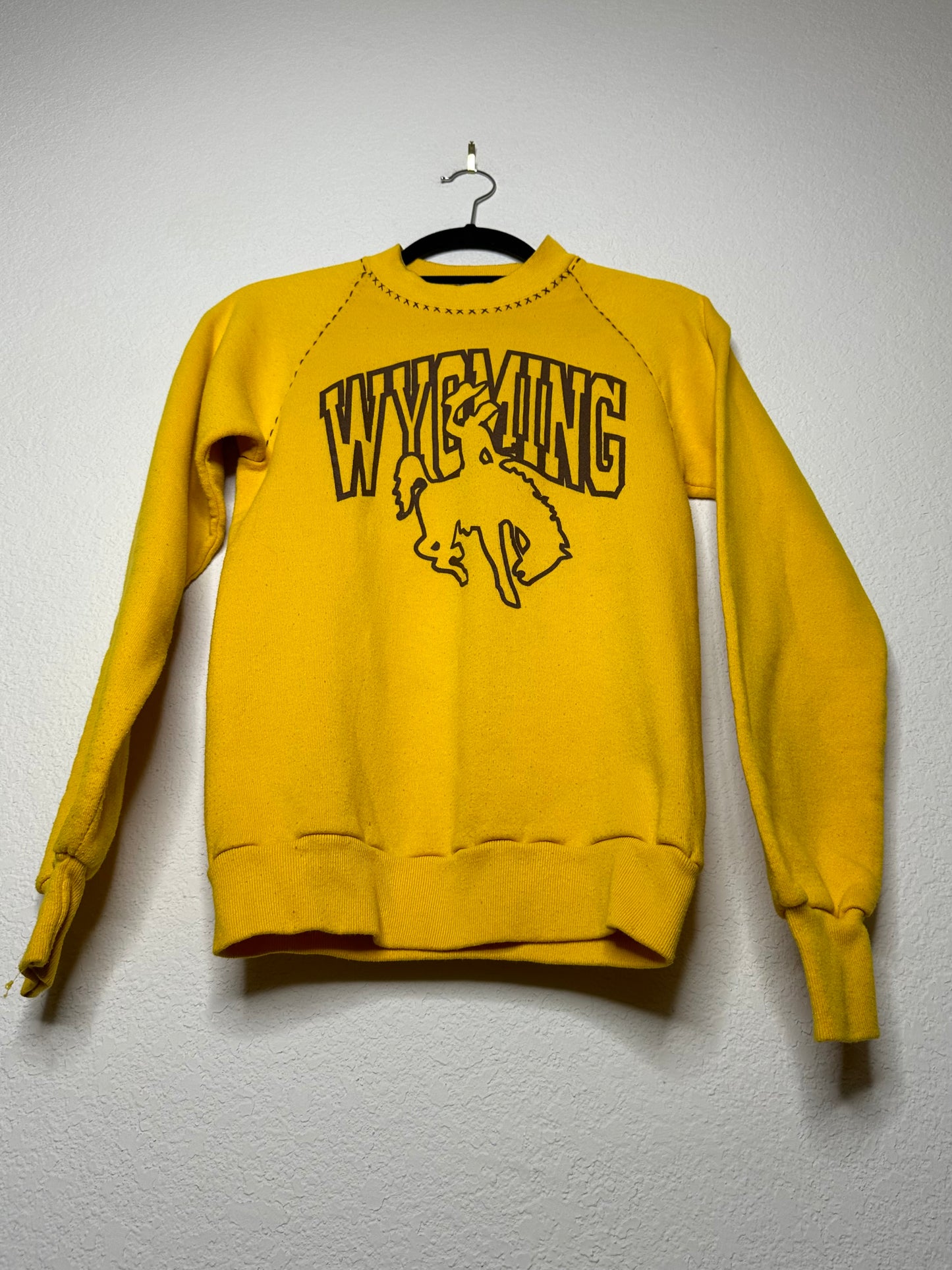 80’s Wyoming Raglan Sweatshirt w/  Hand Embroidered & Flocked Letters (Women’s XS)