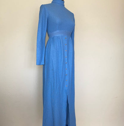 70s Brandye California Empire Waist Maxi Dress (S)