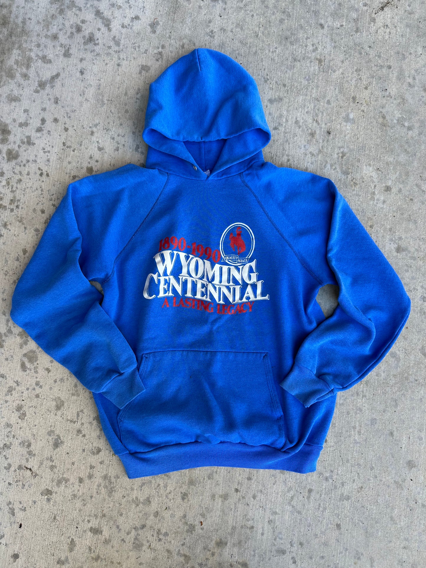 Rare 80’s Wyoming Centennial Raglan Hoodie (Unisex M)
