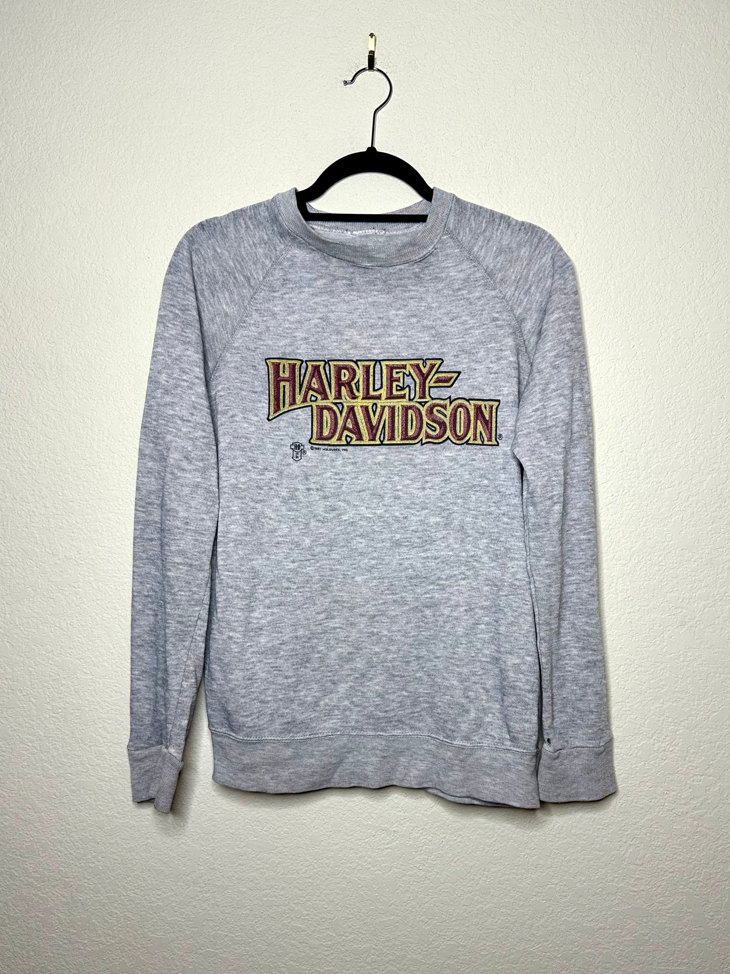 80’s Harley Davidson Threadbare Raglan Sweatshirt (S/M)