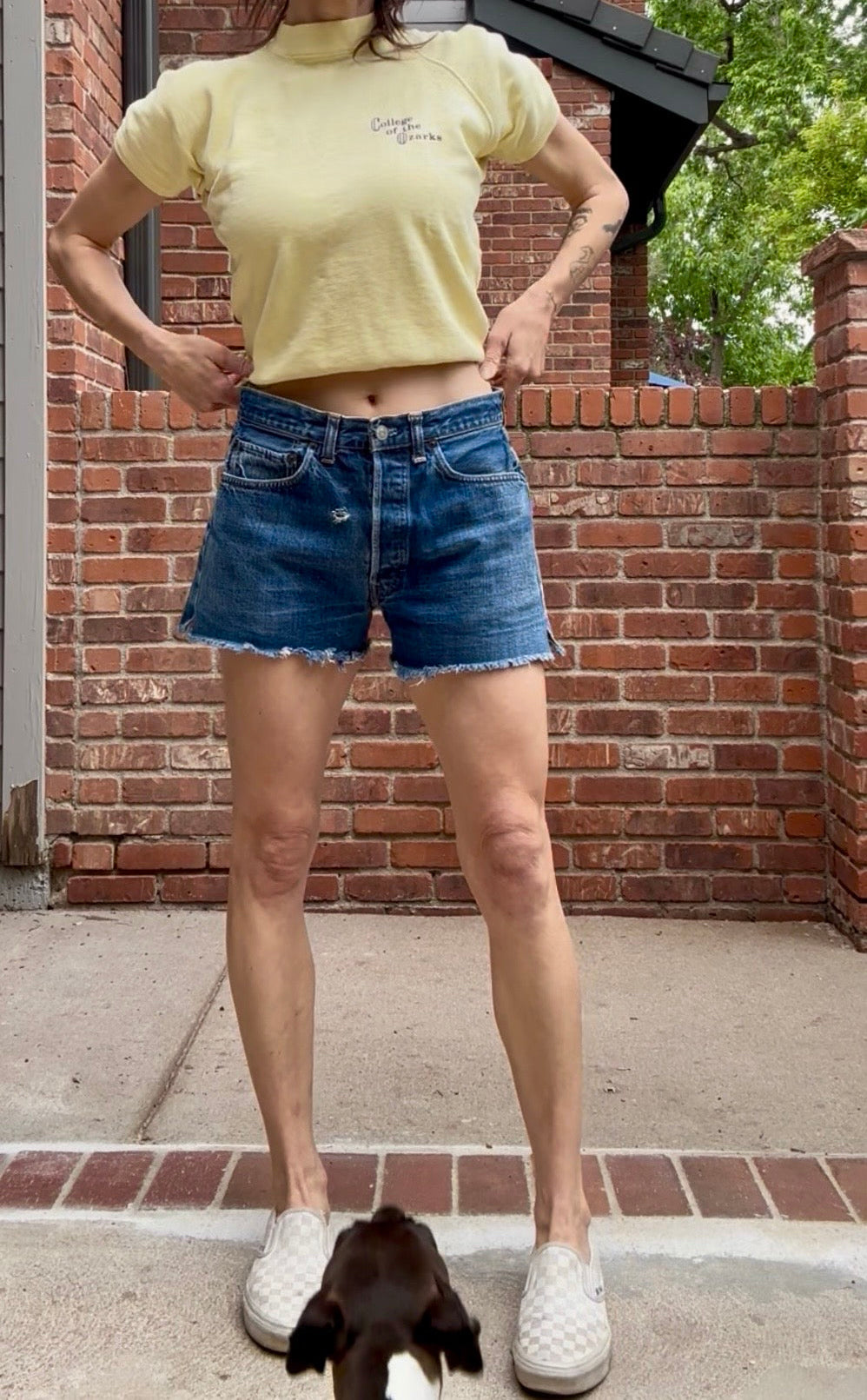 60’s LEVI’S BIG E Redline Selvedge Denim Cutoff Shorts (31” / Modern 29)
