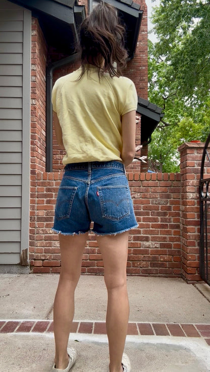 60’s LEVI’S BIG E Redline Selvedge Denim Cutoff Shorts (31” / Modern 29)