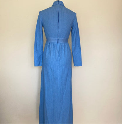 70s Brandye California Empire Waist Maxi Dress (S)