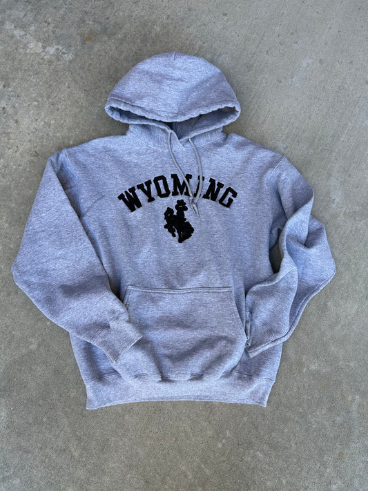 00s Wyoming Patched Logo Hoodie (Unisex S)