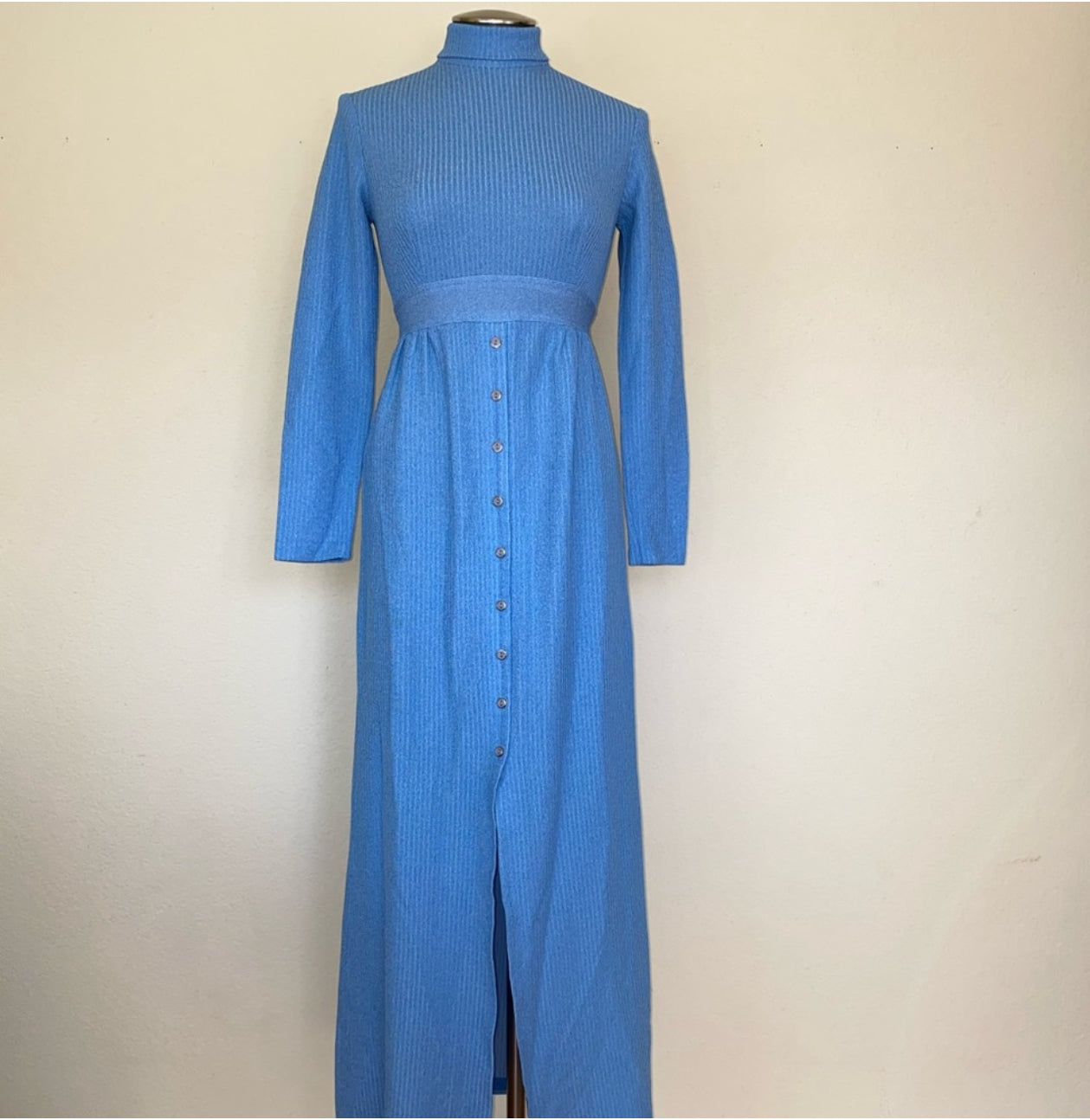 70s Brandye California Empire Waist Maxi Dress (S)